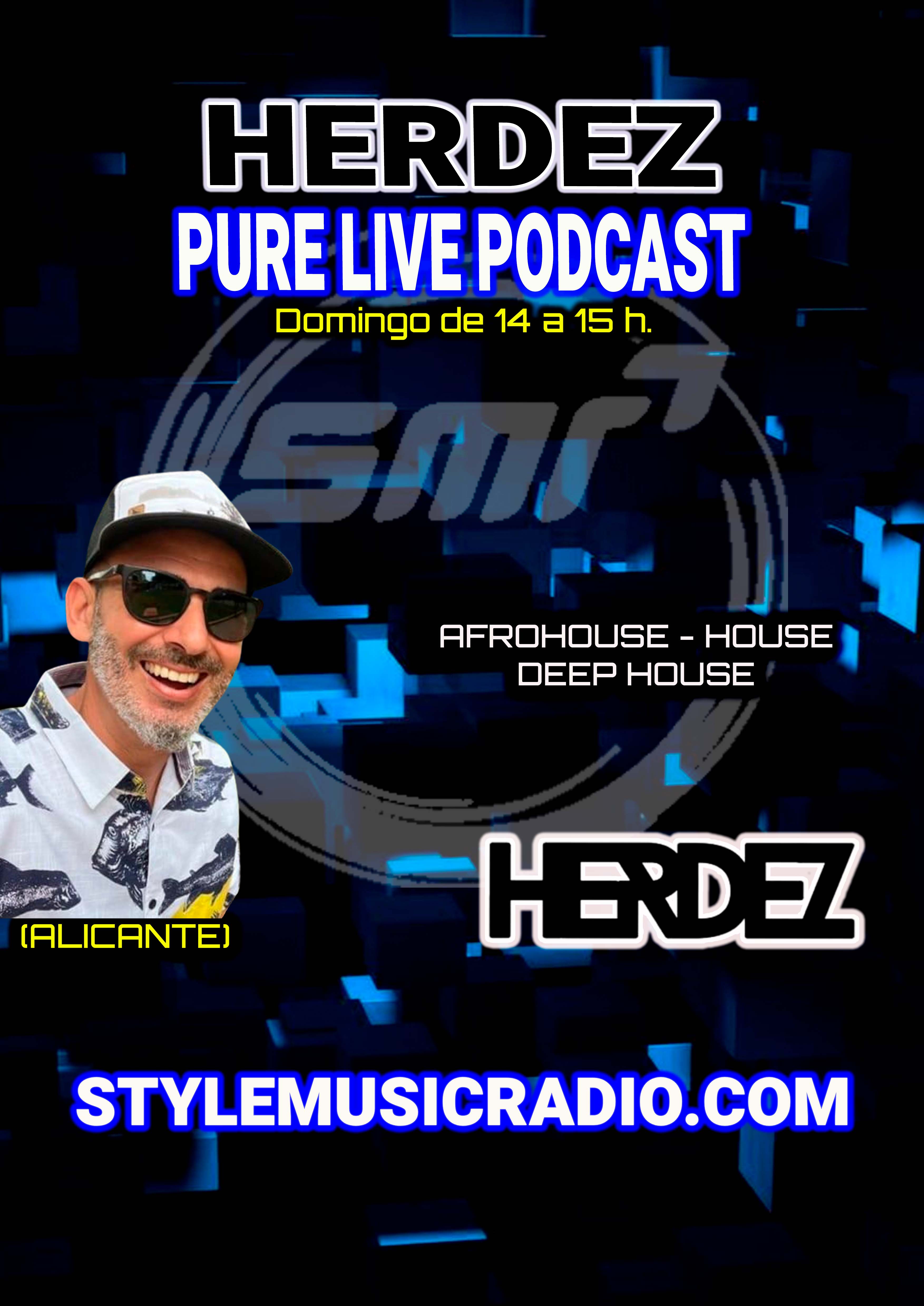 BANNER VERTICAL HERDEZ